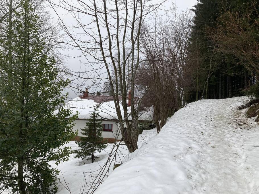 Maison D'Altitude Avec Vue Panoramique A Gérardmer Extérieur photo