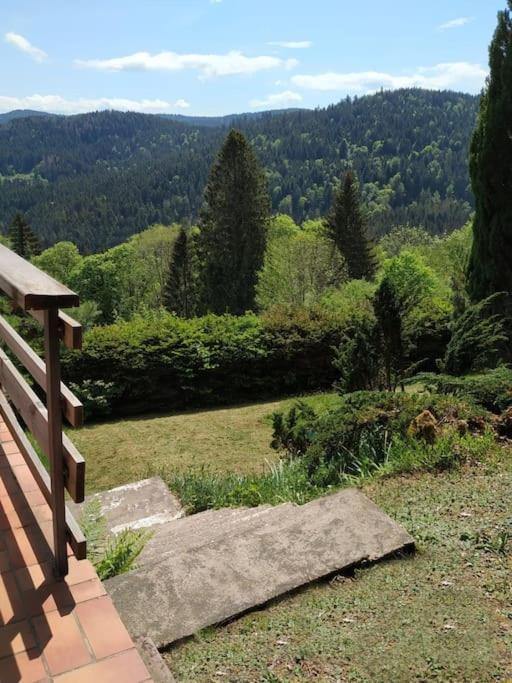 Maison D'Altitude Avec Vue Panoramique A Gérardmer Extérieur photo