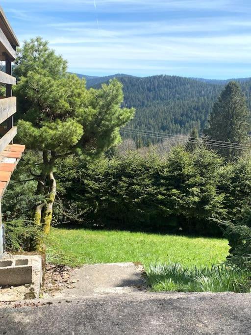 Maison D'Altitude Avec Vue Panoramique A Gérardmer Extérieur photo